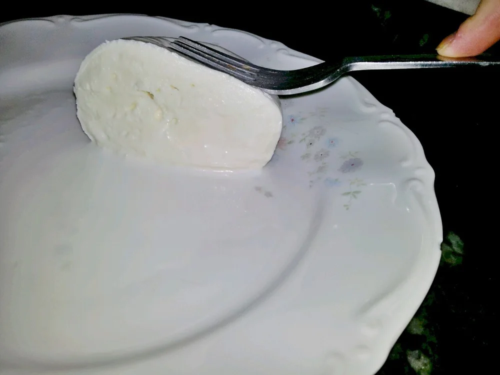 Mozzarella di Bufala Campana DOP